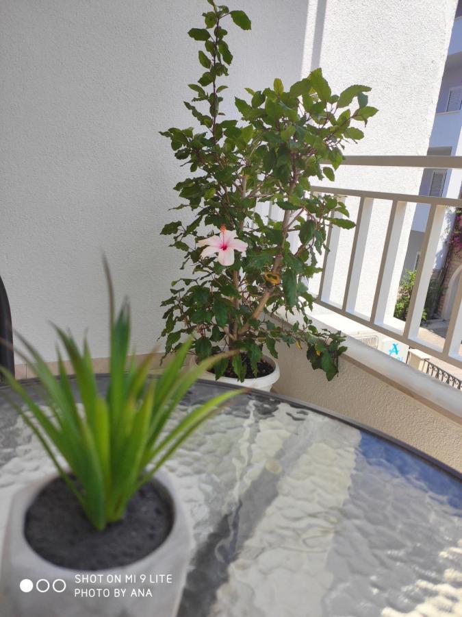 מאקרסקה Apartments Jadranka מראה חיצוני תמונה