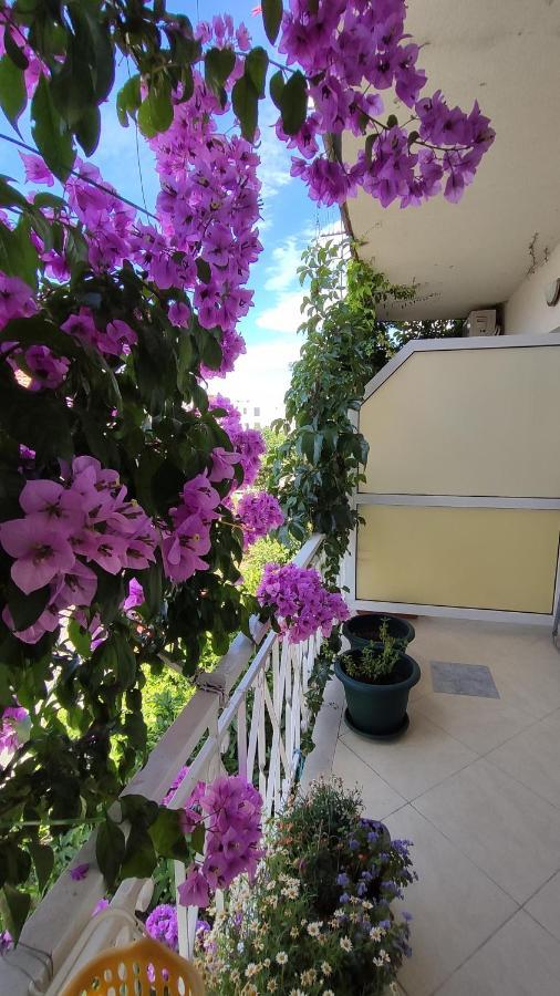 מאקרסקה Apartments Jadranka מראה חיצוני תמונה